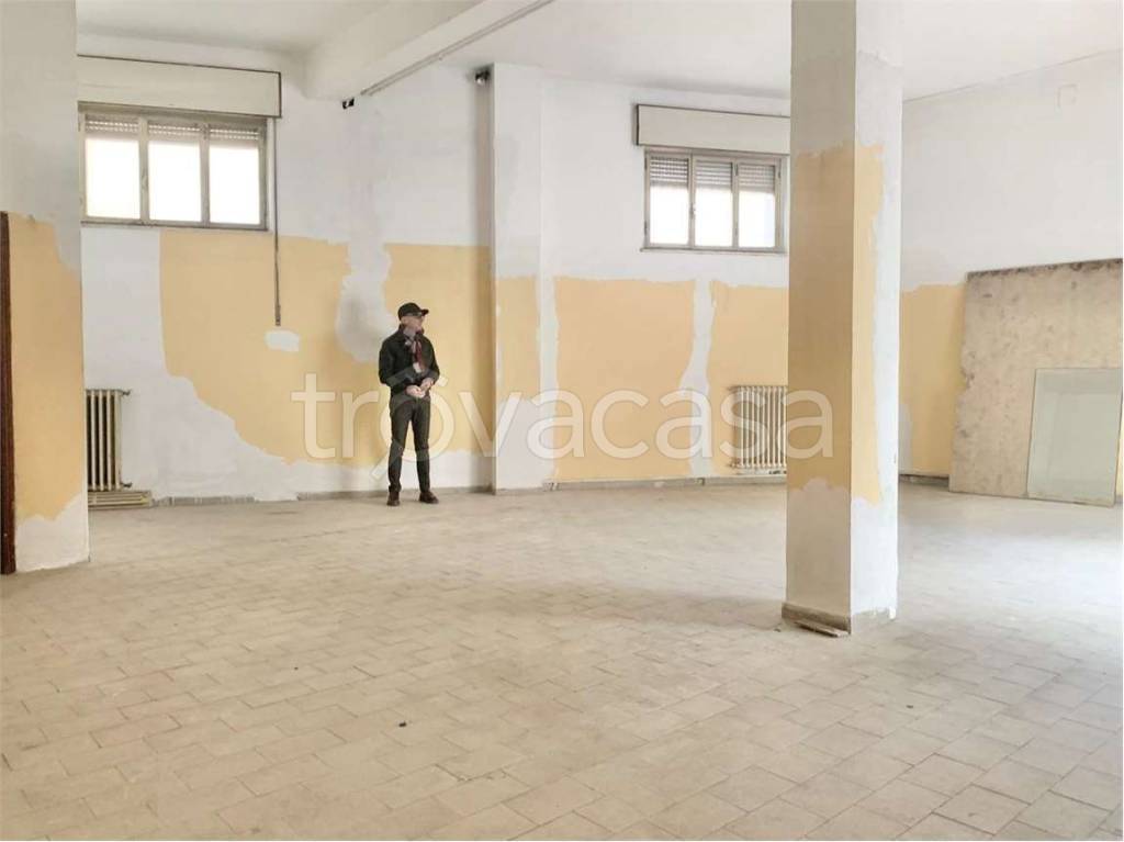 immagine annuncio 3 di 8