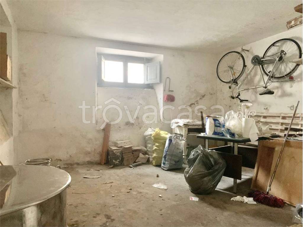 immagine annuncio 12 di 14