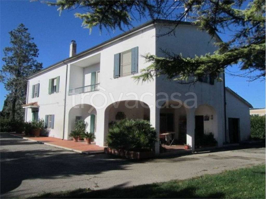 immagine annuncio 4 di 12