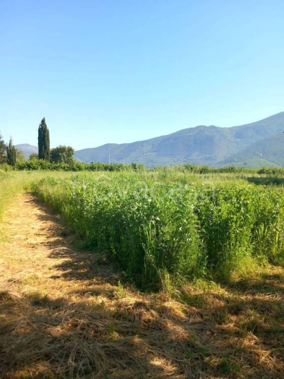 immagine annuncio 5 di 9
