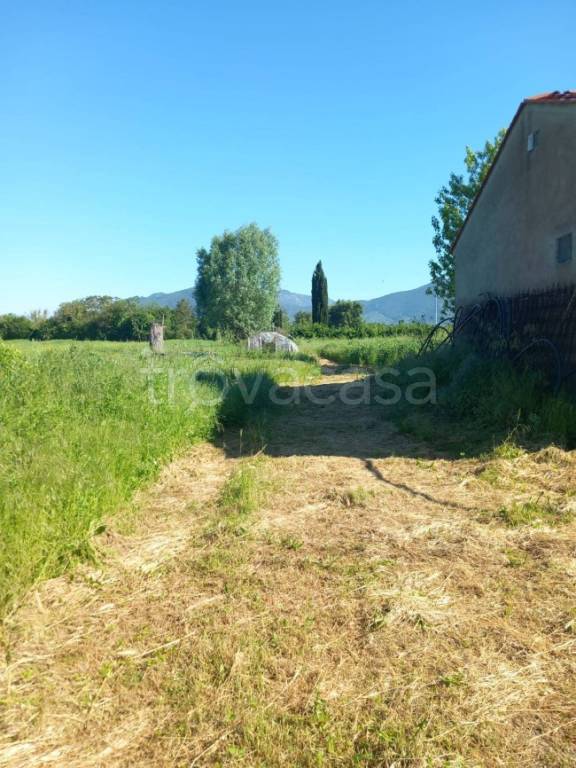 immagine annuncio 7 di 9