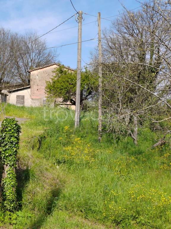 immagine annuncio 2 di 3