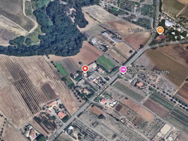 immagine annuncio 2 di 15