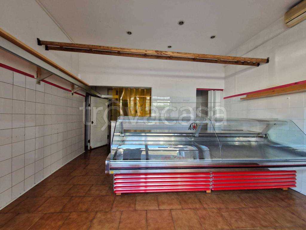 immagine annuncio 2 di 7