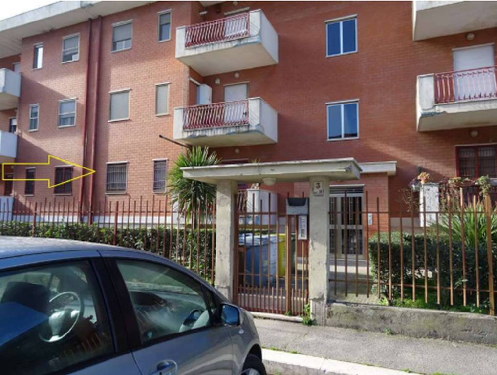 immagine annuncio 11 di 12
