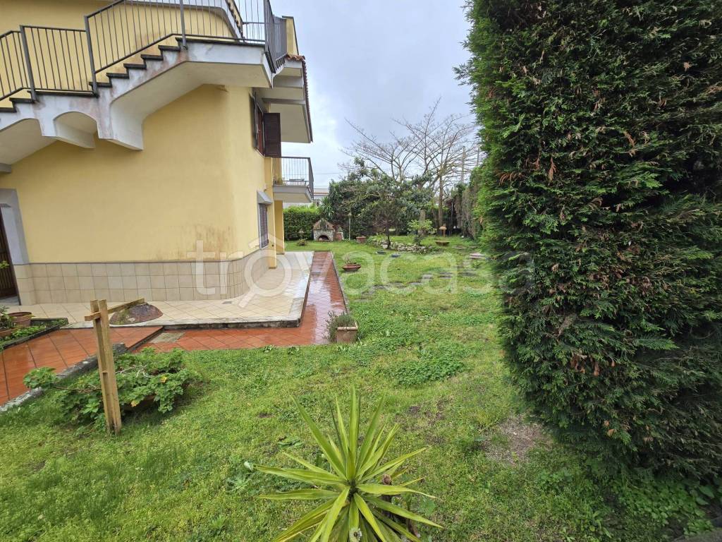immagine annuncio 6 di 9