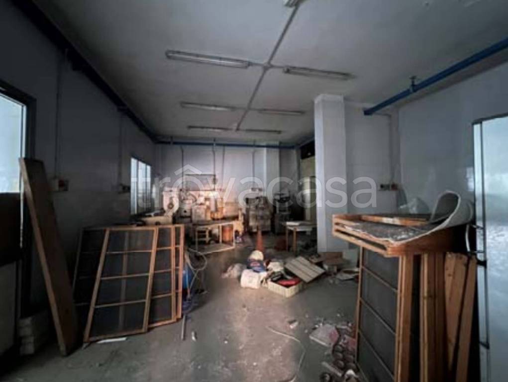 immagine annuncio 7 di 12