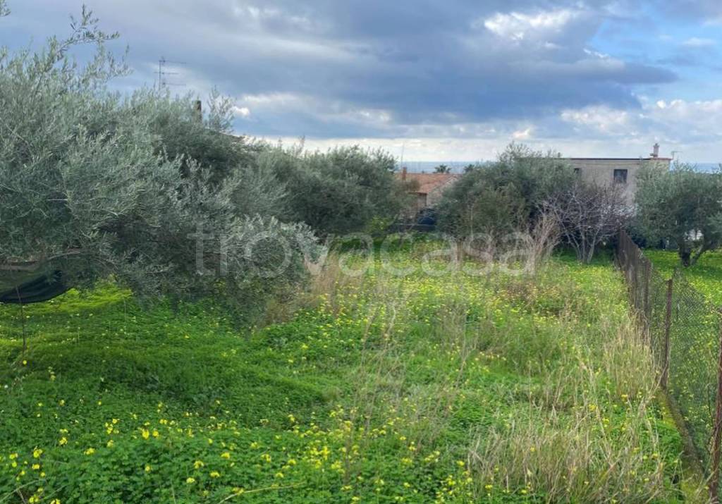 immagine annuncio 1 di 11