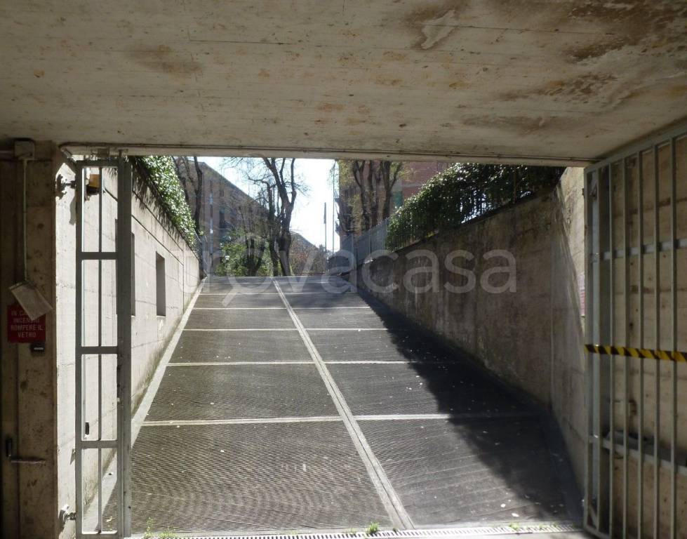 immagine annuncio 5 di 8