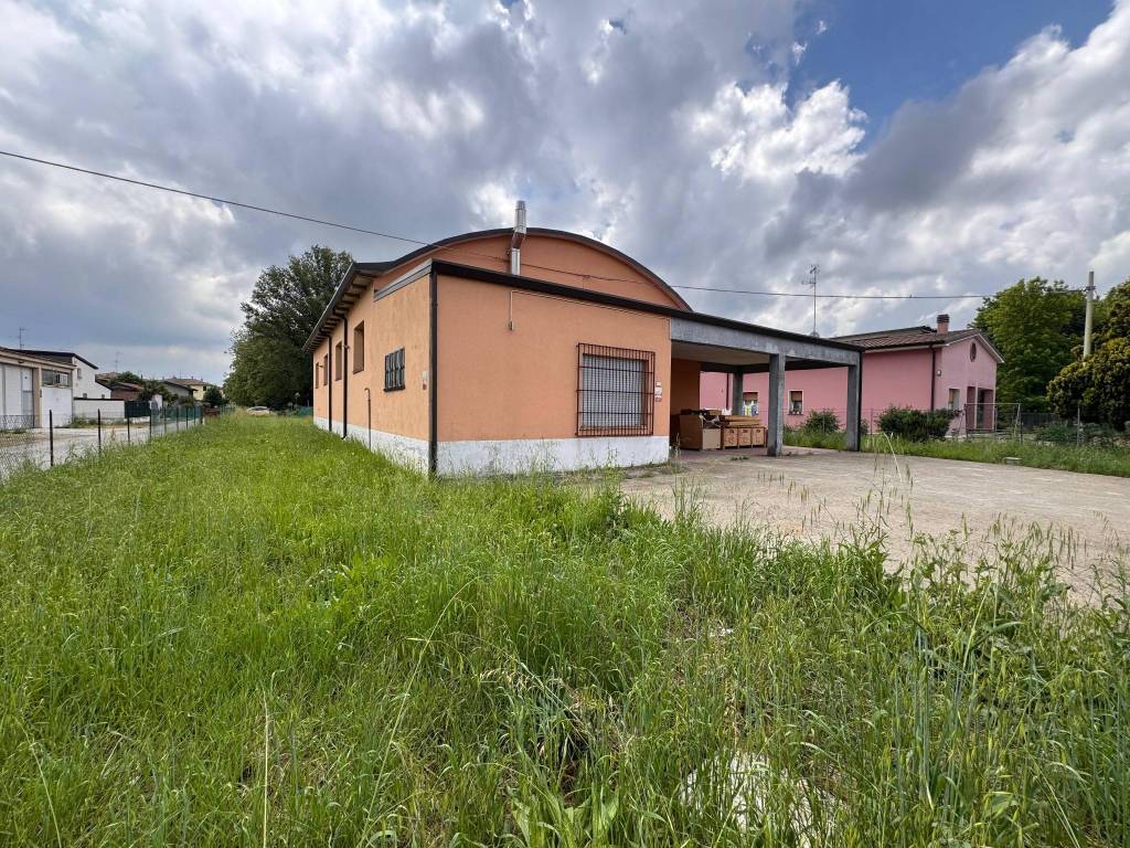 immagine annuncio 2 di 10