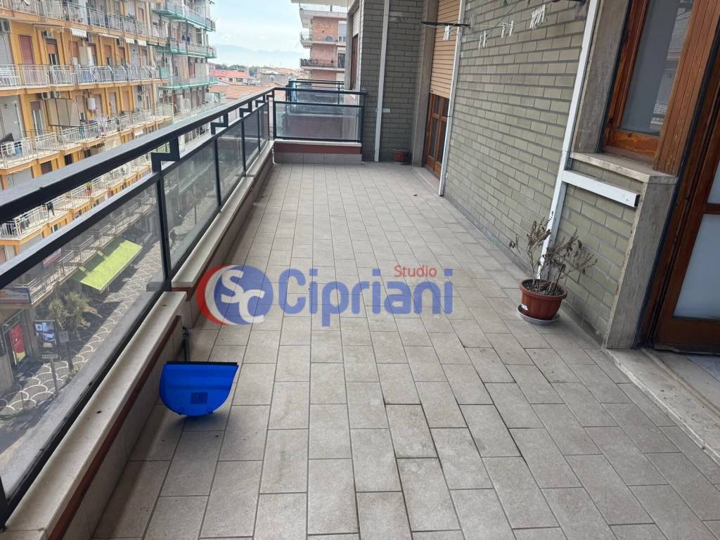 immagine annuncio 12 di 14