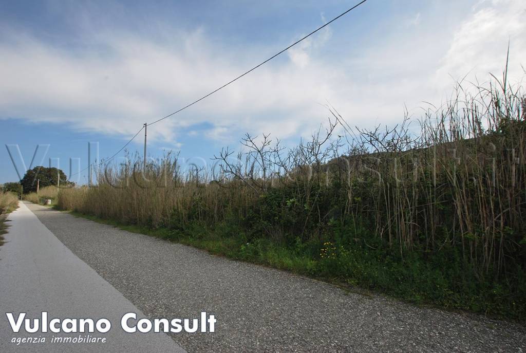 immagine annuncio 12 di 14