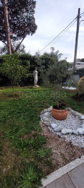 immagine annuncio 7 di 8