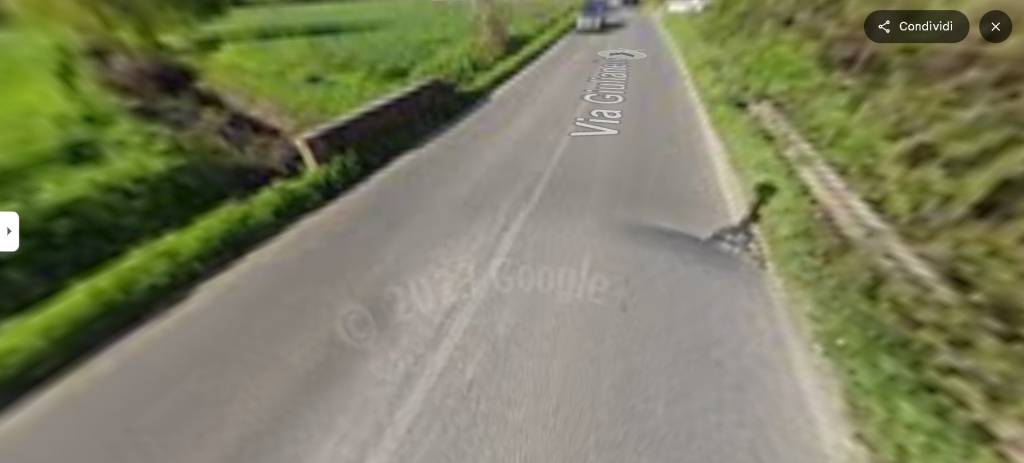 immagine annuncio 10 di 13