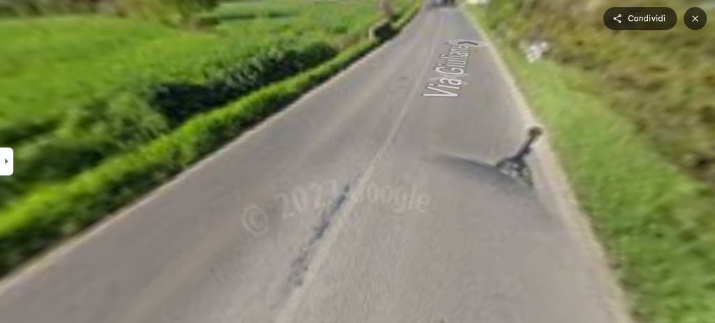 immagine annuncio 11 di 13