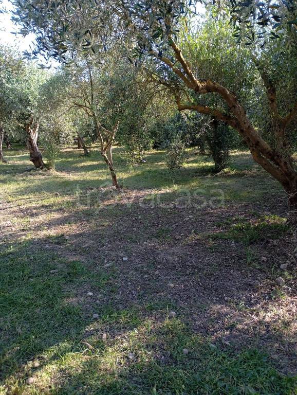immagine annuncio 2 di 3