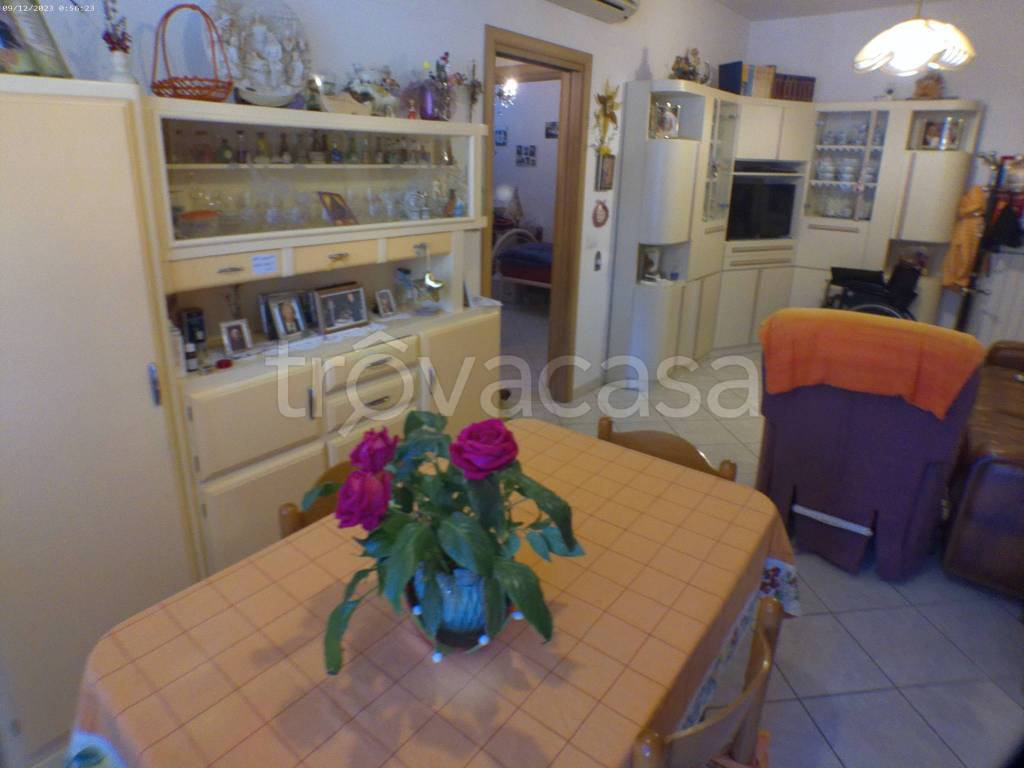 immagine annuncio 8 di 13