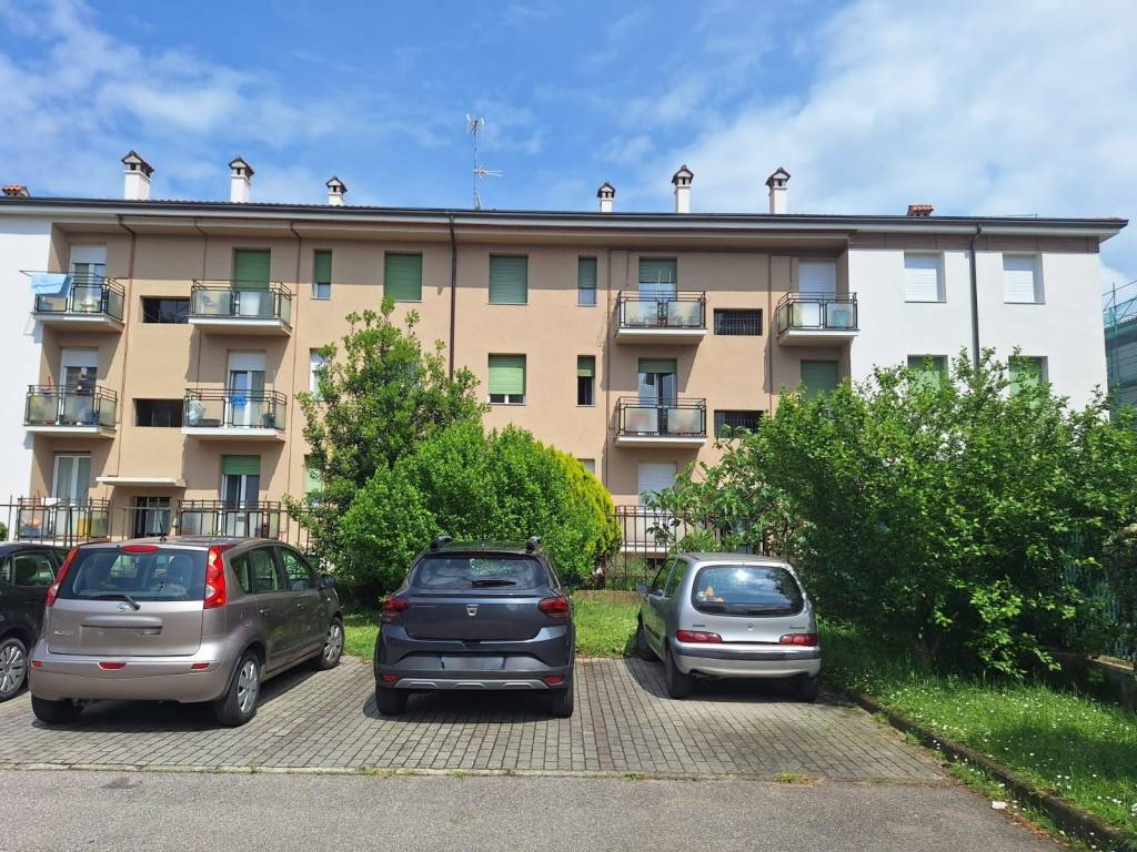 immagine annuncio 1 di 15