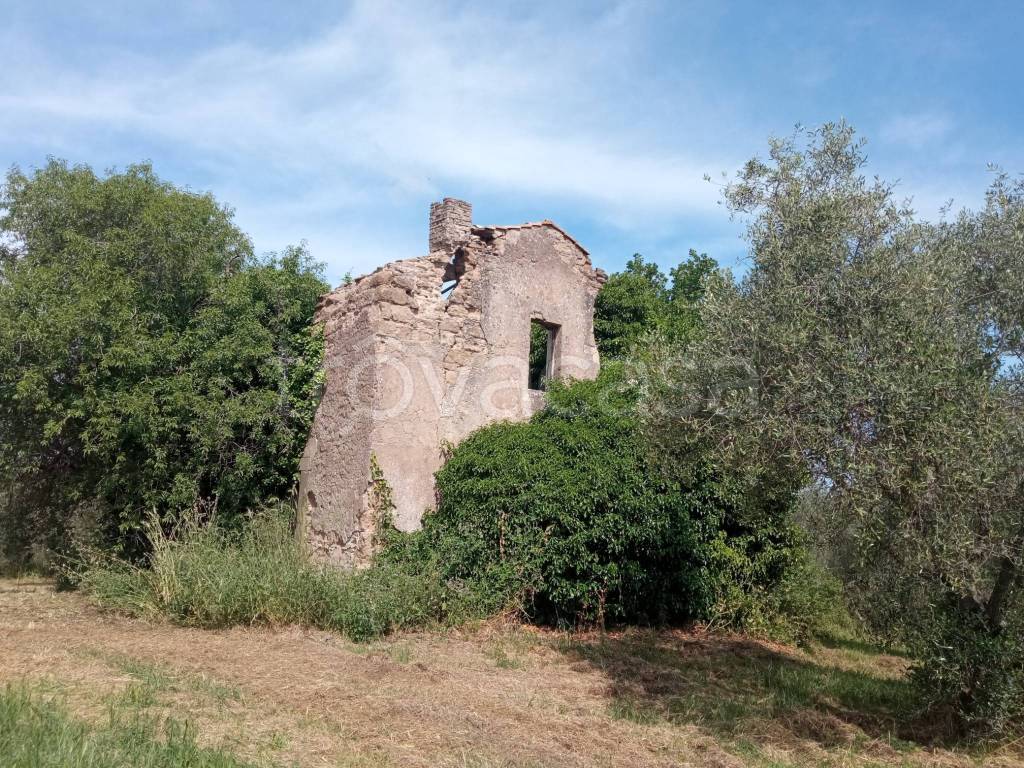 immagine annuncio 4 di 7