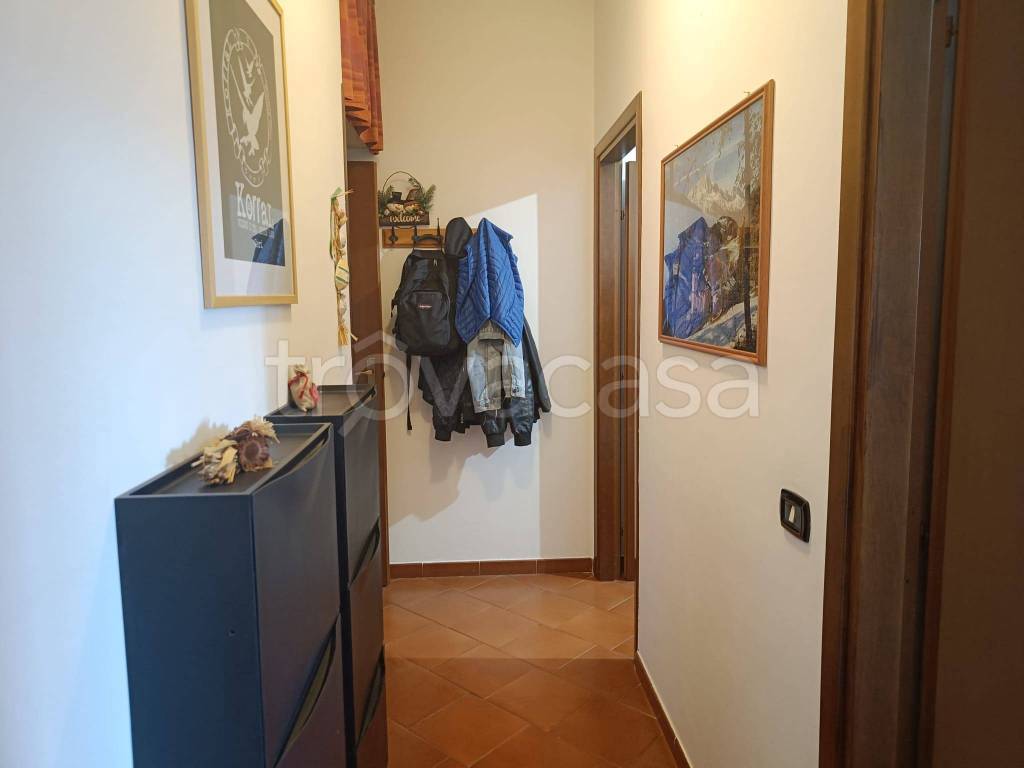immagine annuncio 7 di 14