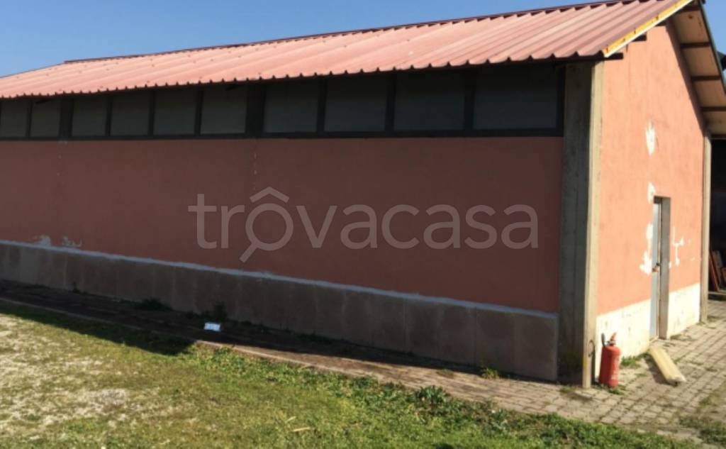 immagine annuncio 10 di 13