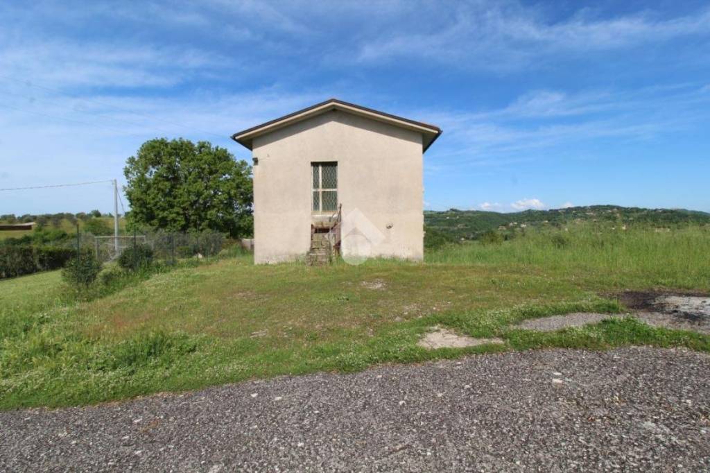 immagine annuncio 9 di 12