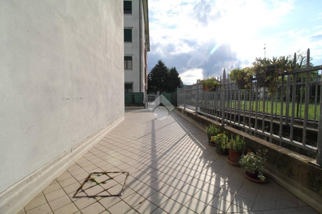 immagine annuncio 11 di 14