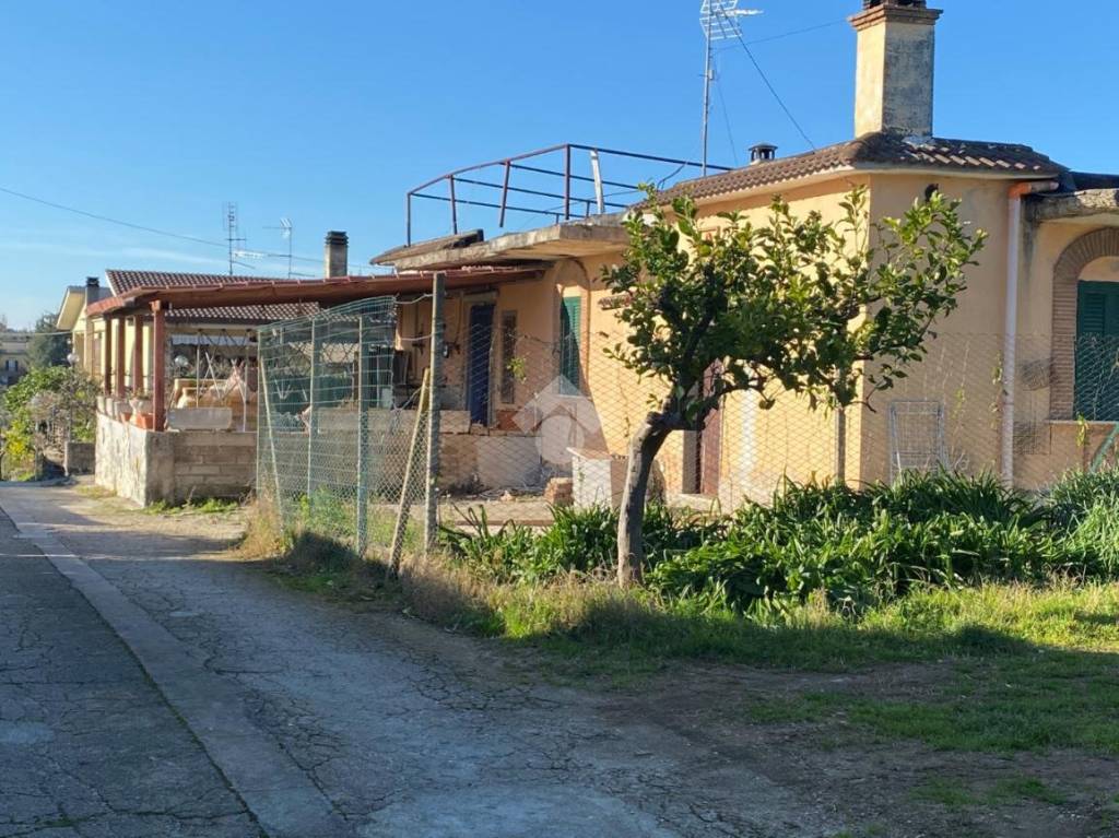 immagine annuncio 11 di 12