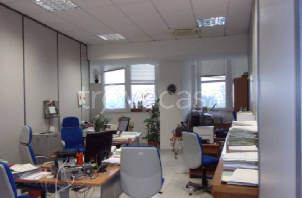 immagine annuncio 11 di 12