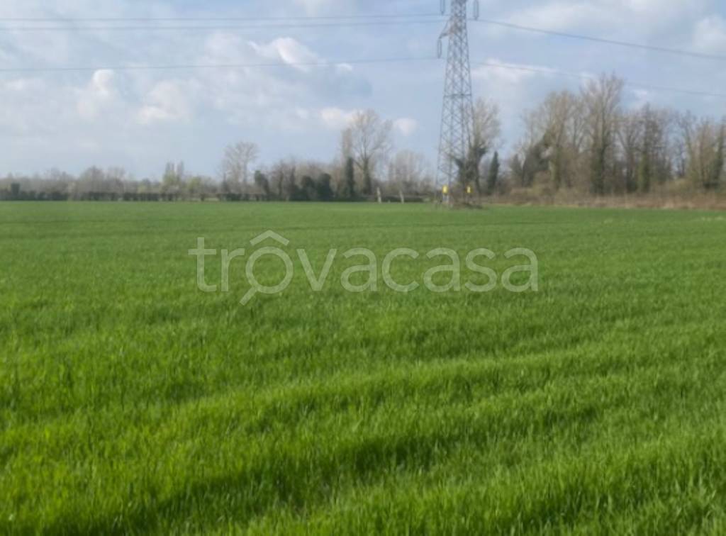 immagine annuncio 8 di 13