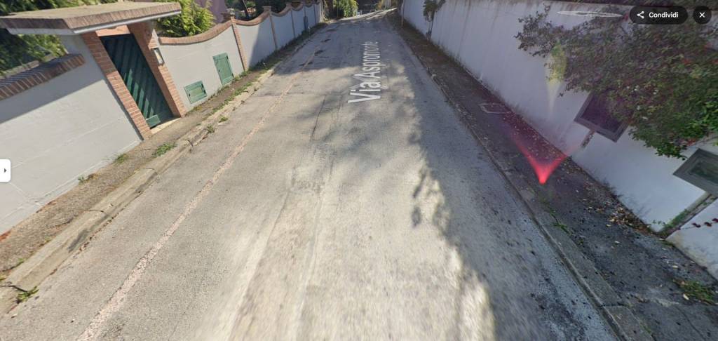 immagine annuncio 8 di 14