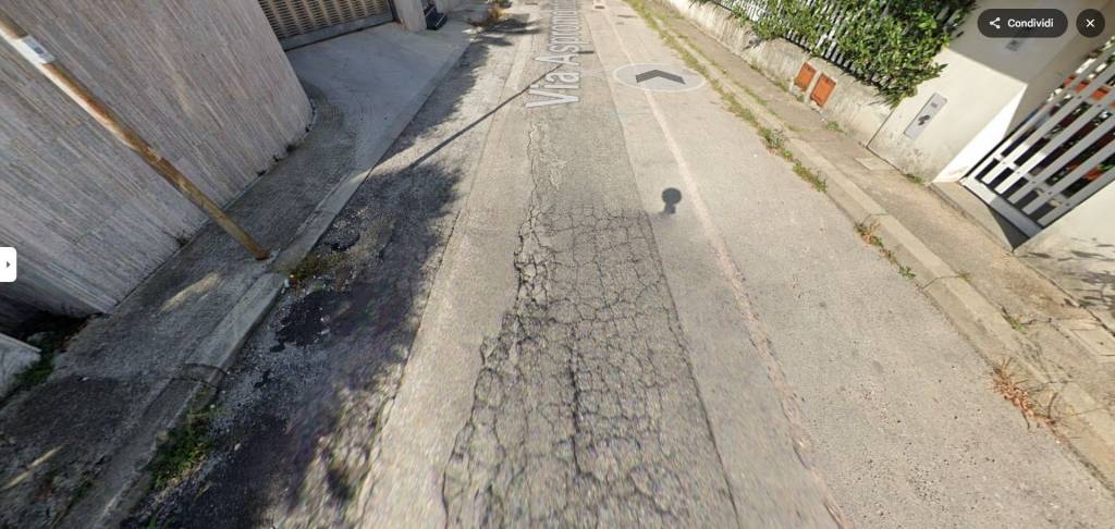 immagine annuncio 12 di 14