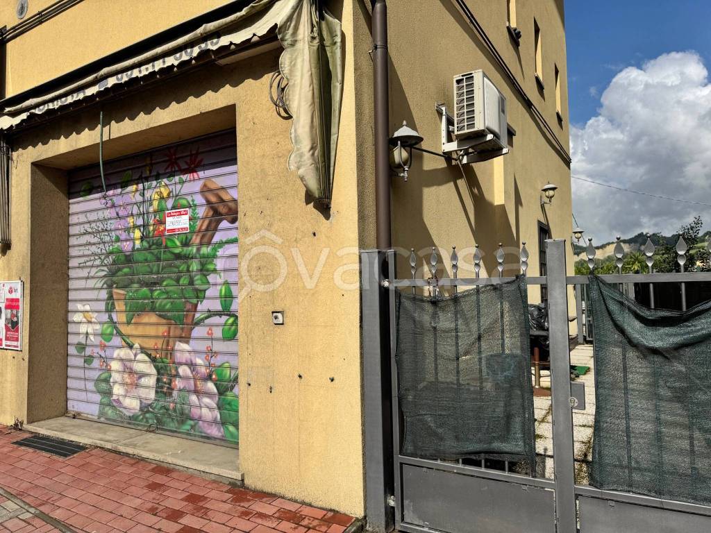 immagine annuncio 3 di 7