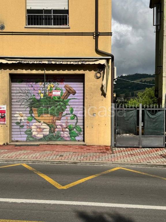 immagine annuncio 2 di 7