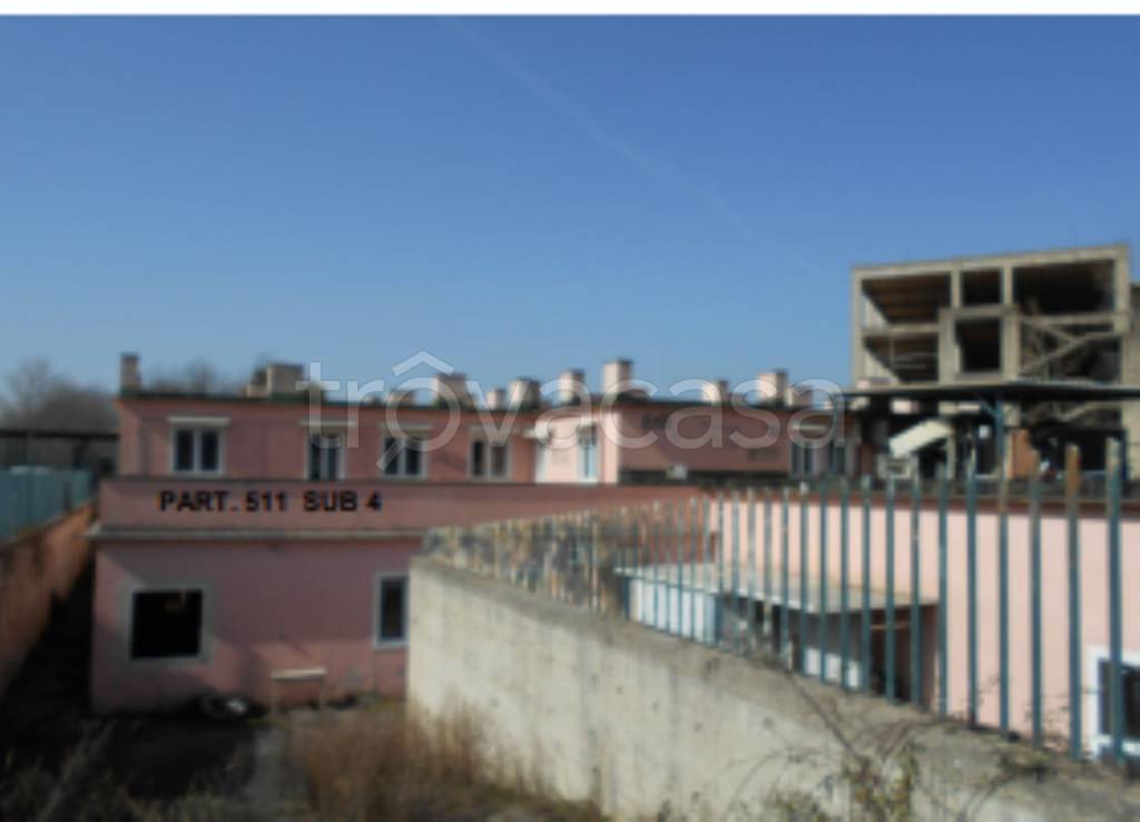 immagine annuncio 3 di 11