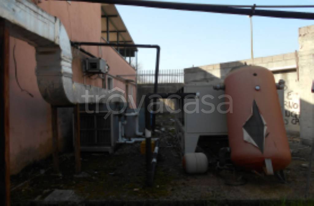 immagine annuncio 5 di 11