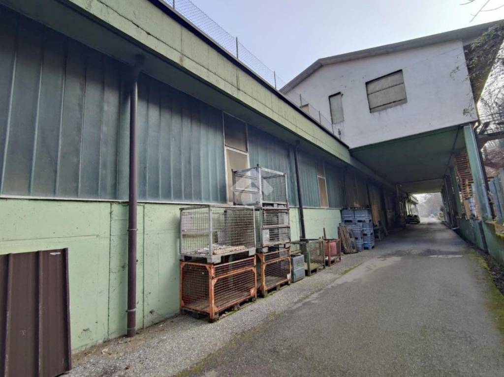 immagine annuncio 3 di 15
