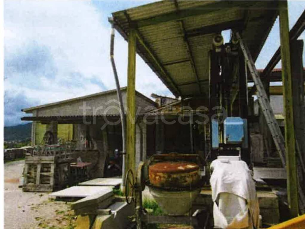 immagine annuncio 9 di 13