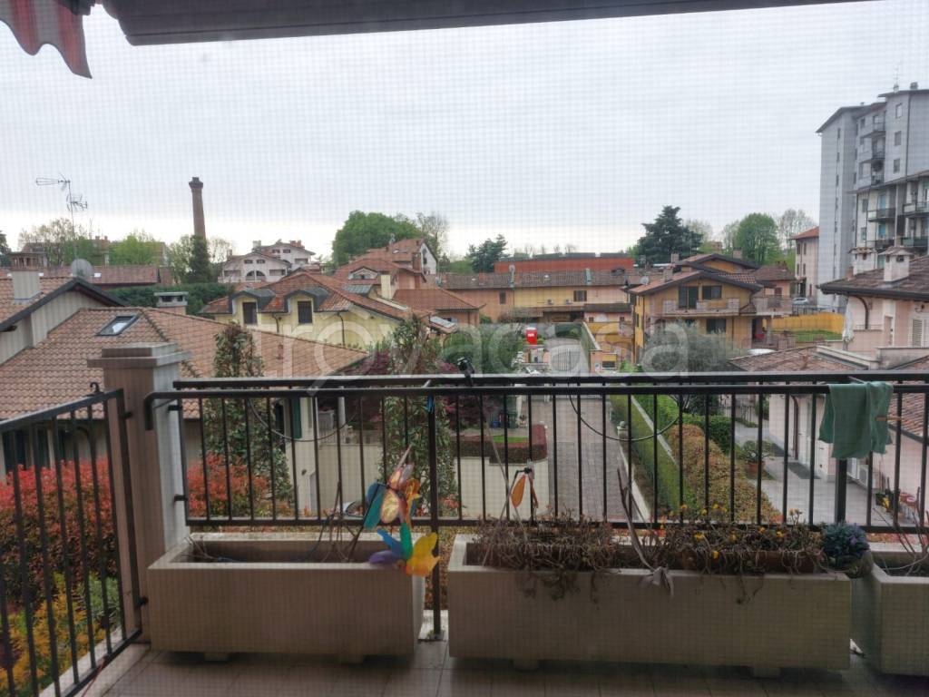 immagine annuncio 11 di 15