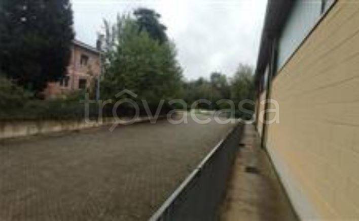 immagine annuncio 9 di 14