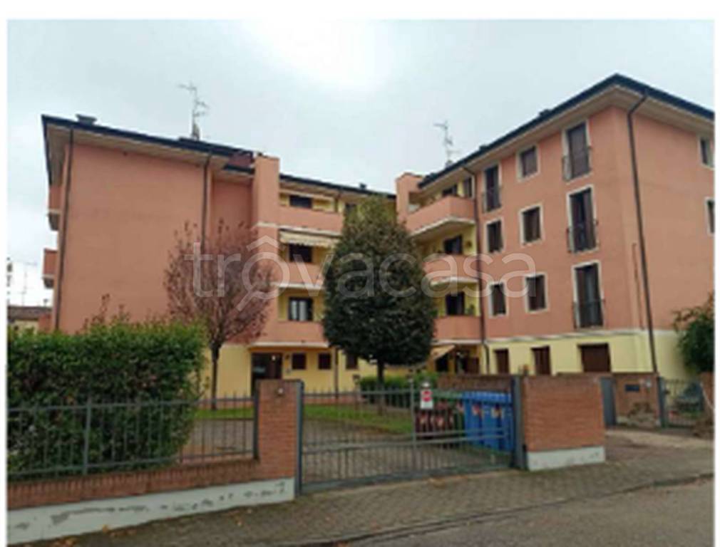 immagine annuncio 5 di 12