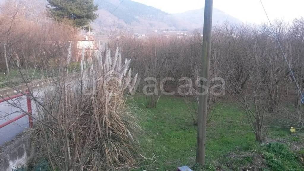 immagine annuncio 4 di 8