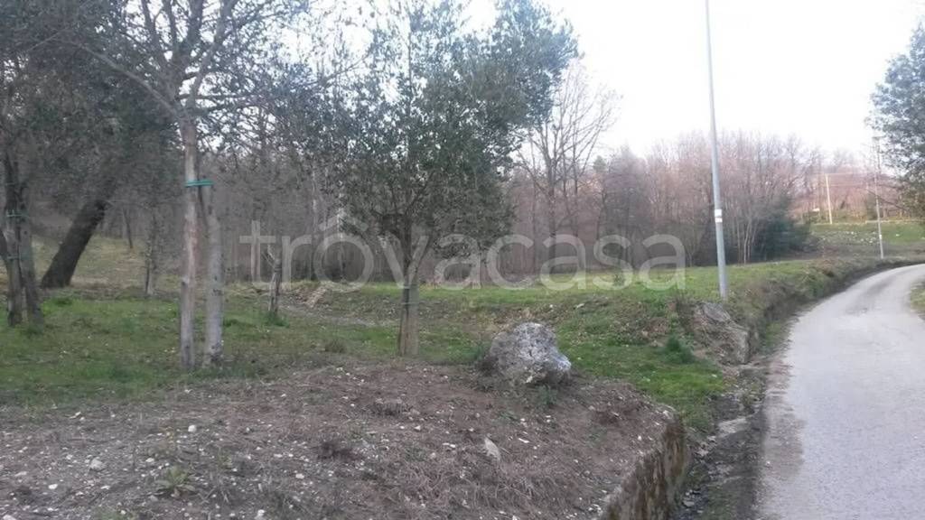 immagine annuncio 7 di 8