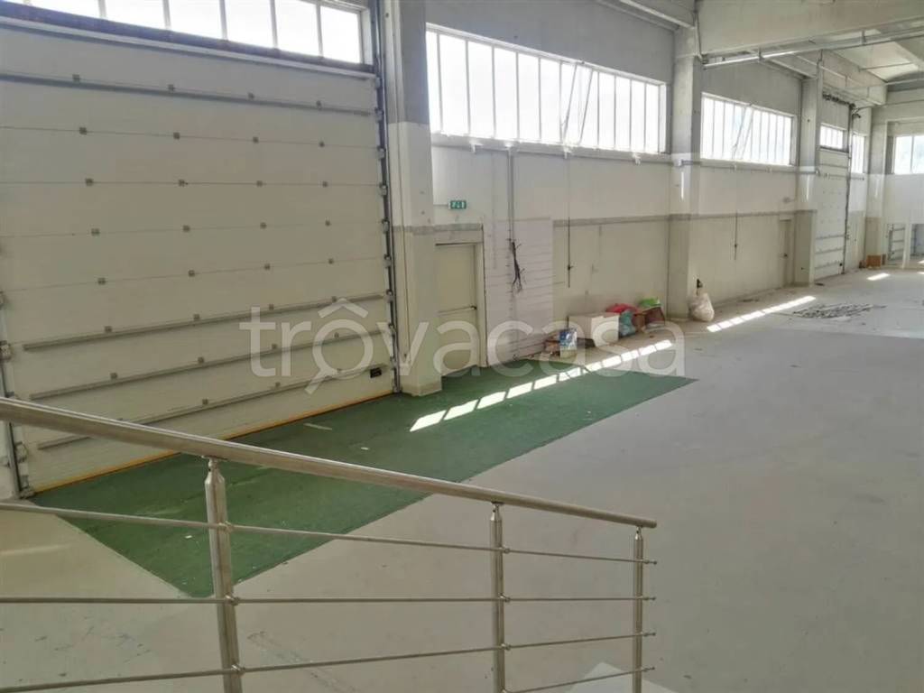 immagine annuncio 5 di 7