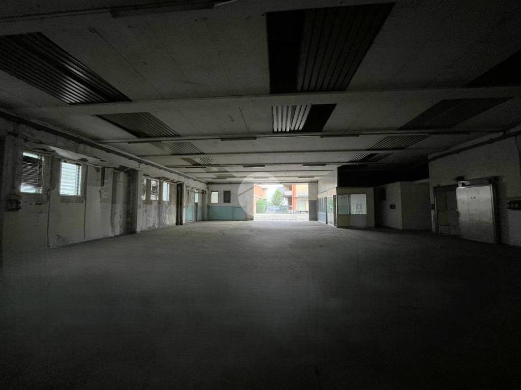 immagine annuncio 7 di 12