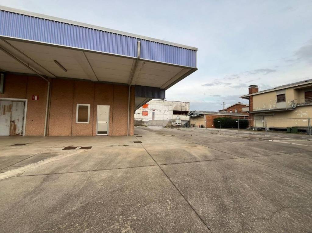 immagine annuncio 9 di 12