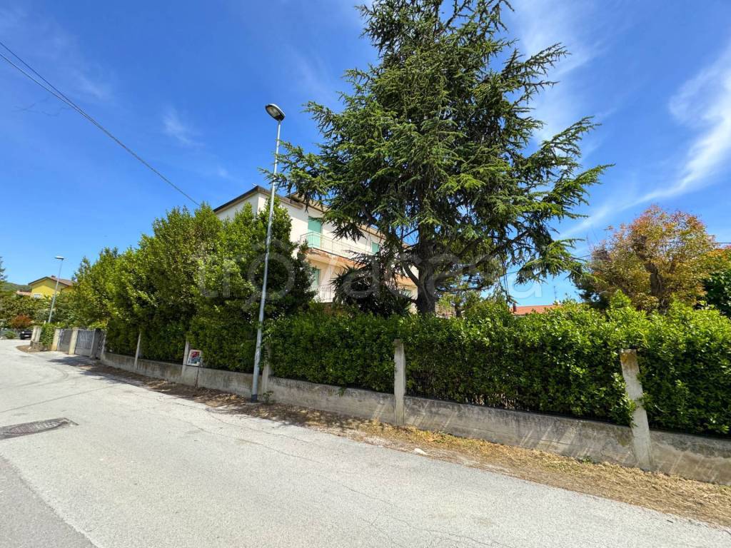 immagine annuncio 8 di 14
