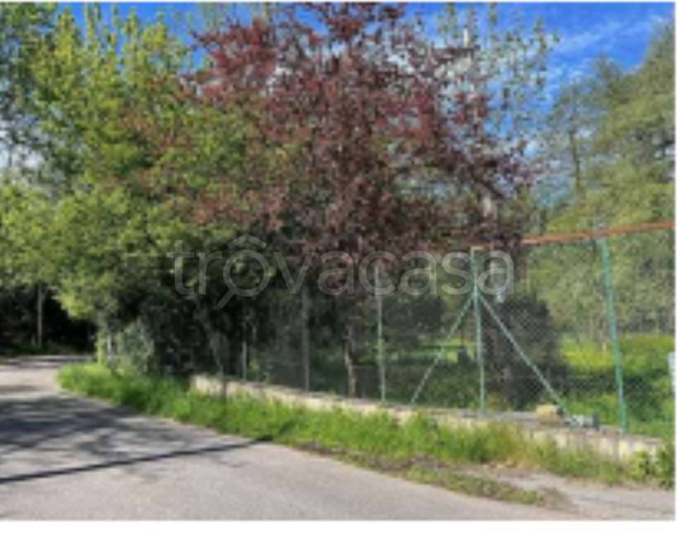 immagine annuncio 9 di 11