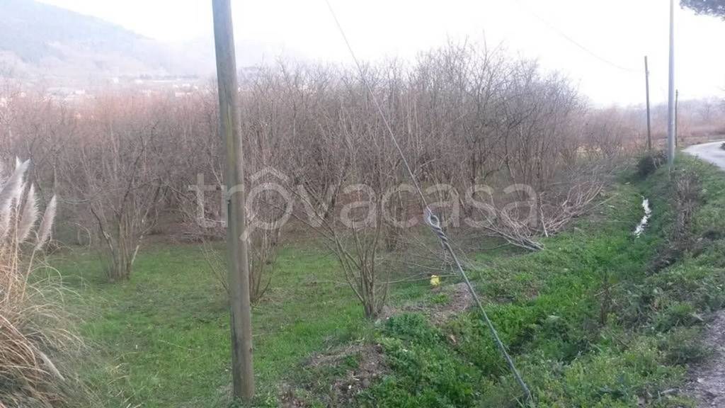 immagine annuncio 3 di 8