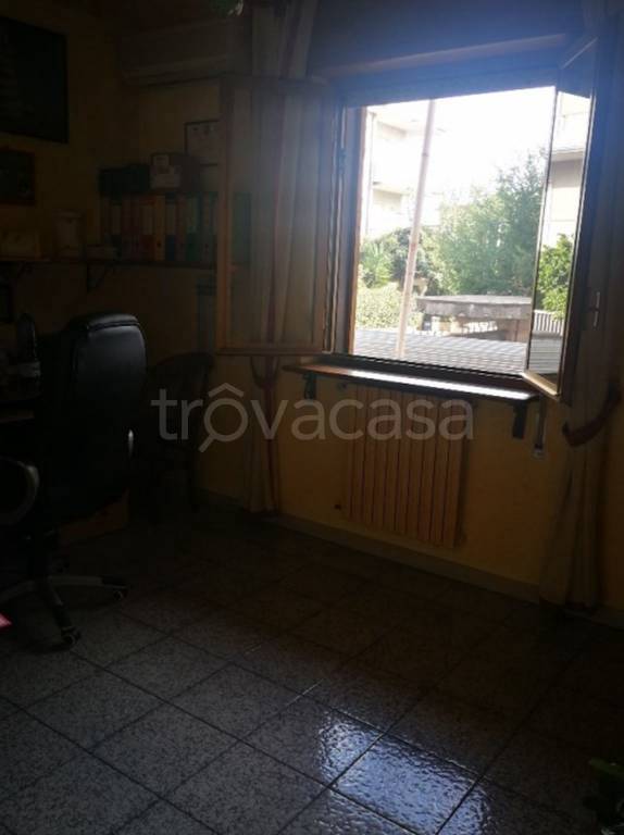 immagine annuncio 7 di 12